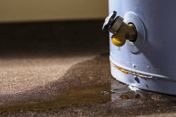 Best Water damage contractors near me  in Suffolk, VA
