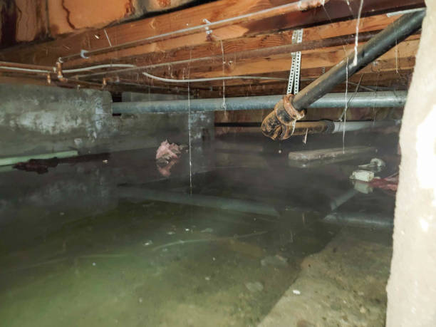 Best Residential water damage restoration  in Suffolk, VA