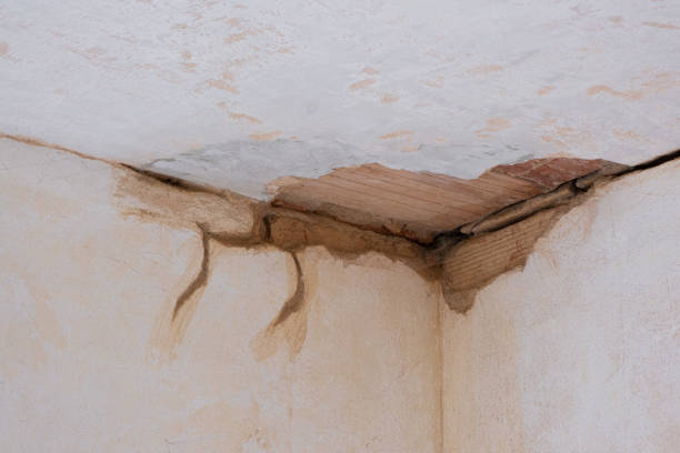 Best 24-hour water damage restoration  in Suffolk, VA