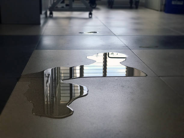 Best Water damage restoration near me  in Suffolk, VA
