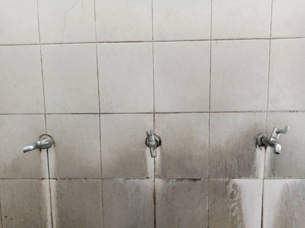 Best Water damage repair service  in Suffolk, VA