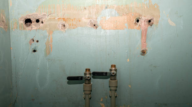 Best Water damage restoration near me  in Suffolk, VA