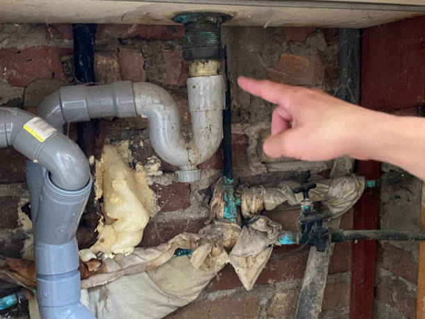 Best Basement water damage restoration  in Suffolk, VA