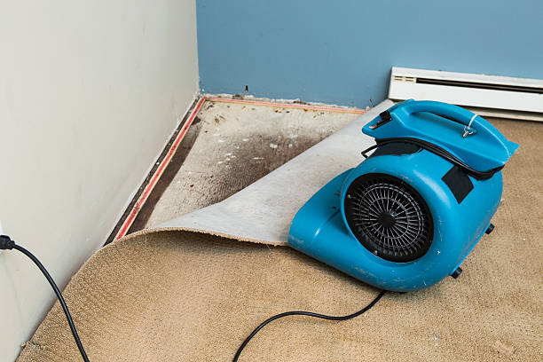 Best Local water damage restoration  in Suffolk, VA
